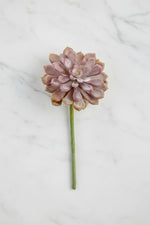 Faux Baby Aeonium Pick 6" Two Tone Coral