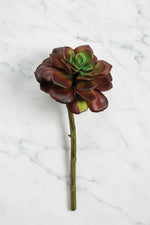 Faux Echeveria Pick 8" Burgundy & Green