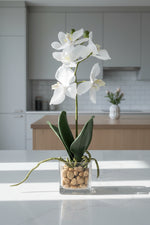 Faux Orchid in Square Glass Dish 11" White