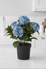 Faux Five Bloom Blue Hydrangea Potted with Faux Dirt 18.75"