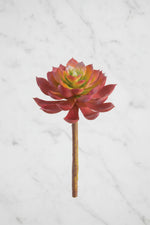 Faux Real Touch Echeveria Pick 7" Rose & Green