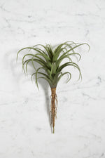 Faux Tillandsia Pick 8.5" Green