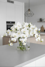Orchid Premade in Glass Vase with Faux Water 16" White