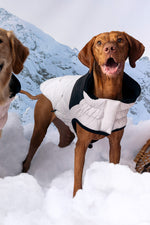 GF Pet Diamond Puffer Coat M Grey