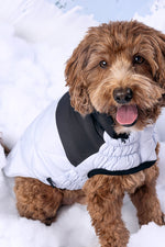 GF Pet Diamond Puffer Coat S Blue