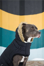 GF Pet Urban Parka 4XL Black