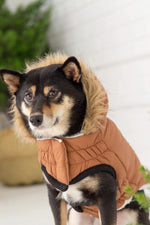 GF Pet Urban Parka S Caramel