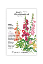 Botanical Interests Gloxiniiflora Blend Foxglove Seeds