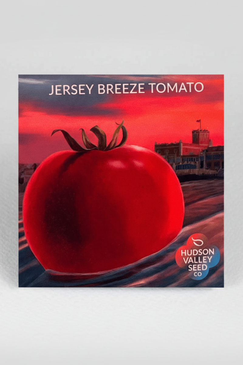 Hudson Valley Seed Co. Jersey Breeze Tomato Seeds – Chalet