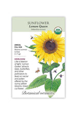 Botanical Interests Lemon Queen Sunflower Organic Seeds