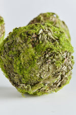 Napa Mossy Lichen Orb 4" Natural