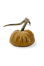 Plush Pumpkin Velvet Pumpkin 10" Honey