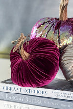Plush Pumpkin Velvet Pumpkin 5" Magenta