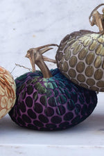 Plush Pumpkin Velvet Pumpkin 10" Peacock Dot