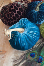 Plush Pumpkin Velvet Pumpkin 6" Peacock