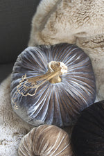 Plush Pumpkin Velvet Pumpkin 5" Smokey Topaz