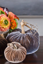 Plush Pumpkin Velvet Pumpkin 10" Smokey Topaz