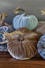 Plush Pumpkin Velvet Pumpkin 6" Stone