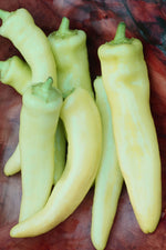 Seed Savers Hungarian Yellow Wax Hot Pepper