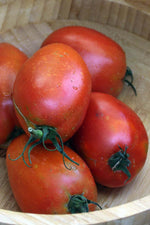 Seed Savers Salvaterra's Select Organic Tomato