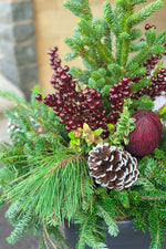 Chalet Signature White Tip & Burgundy Emma 12"