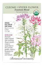 Botanical Interests Fountain Blend Cleome (Spider Flower) Organic Seeds