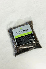 Terrarium Potting Soil Quart
