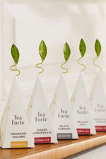 Tea Forte Winter Chalet Petit Presentation Box10 Infusers