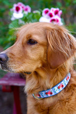 Up Country Bouquet Collar Large