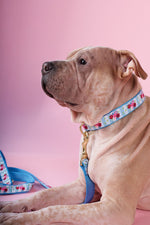 Up Country Bouquet Collar Extra Large