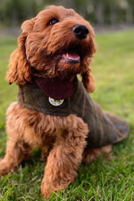 Up Country Green Tweed Dog Coat 10"