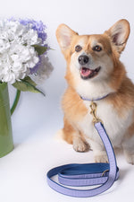 Up Country Purple Gingham Collar Extra Small Narrow