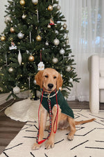 Up Country Reindeer Sweater Medium