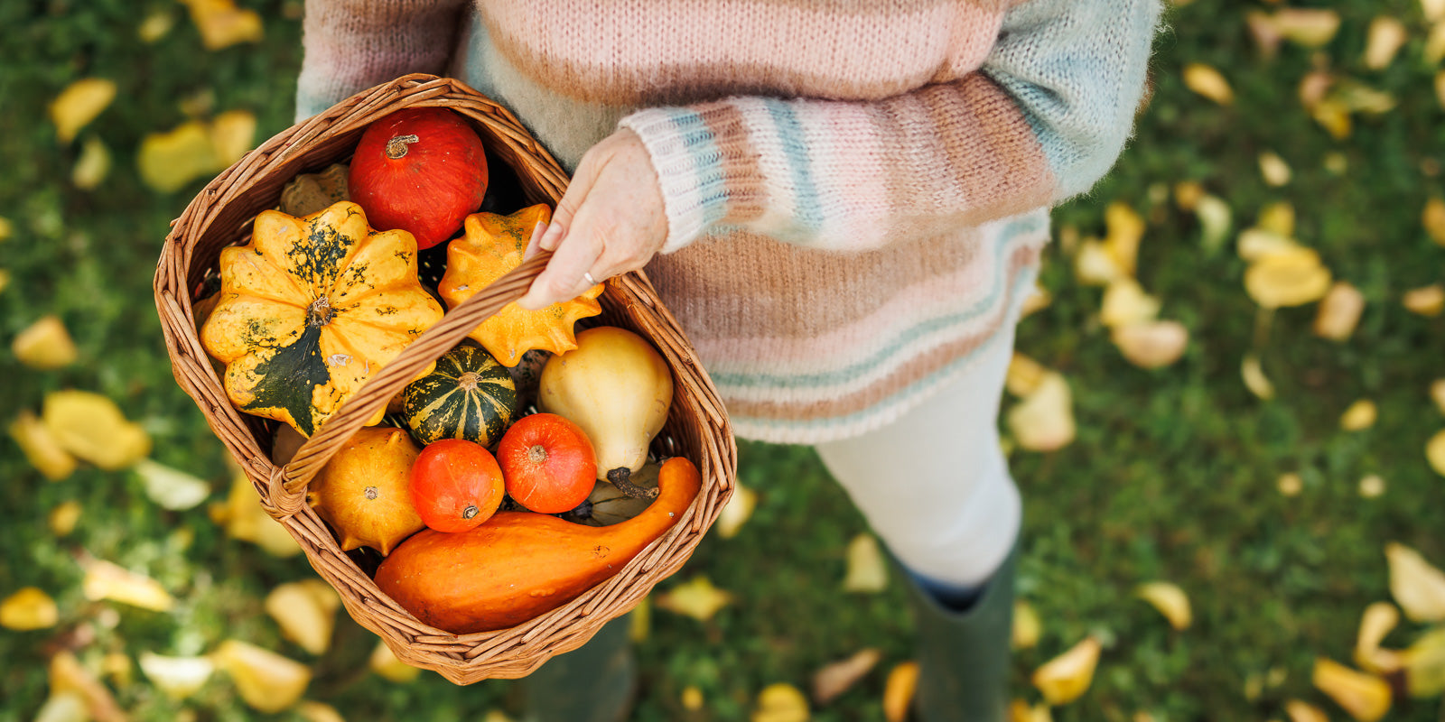 October Gardening To-Do List