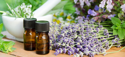 Essential Oils for Back to School