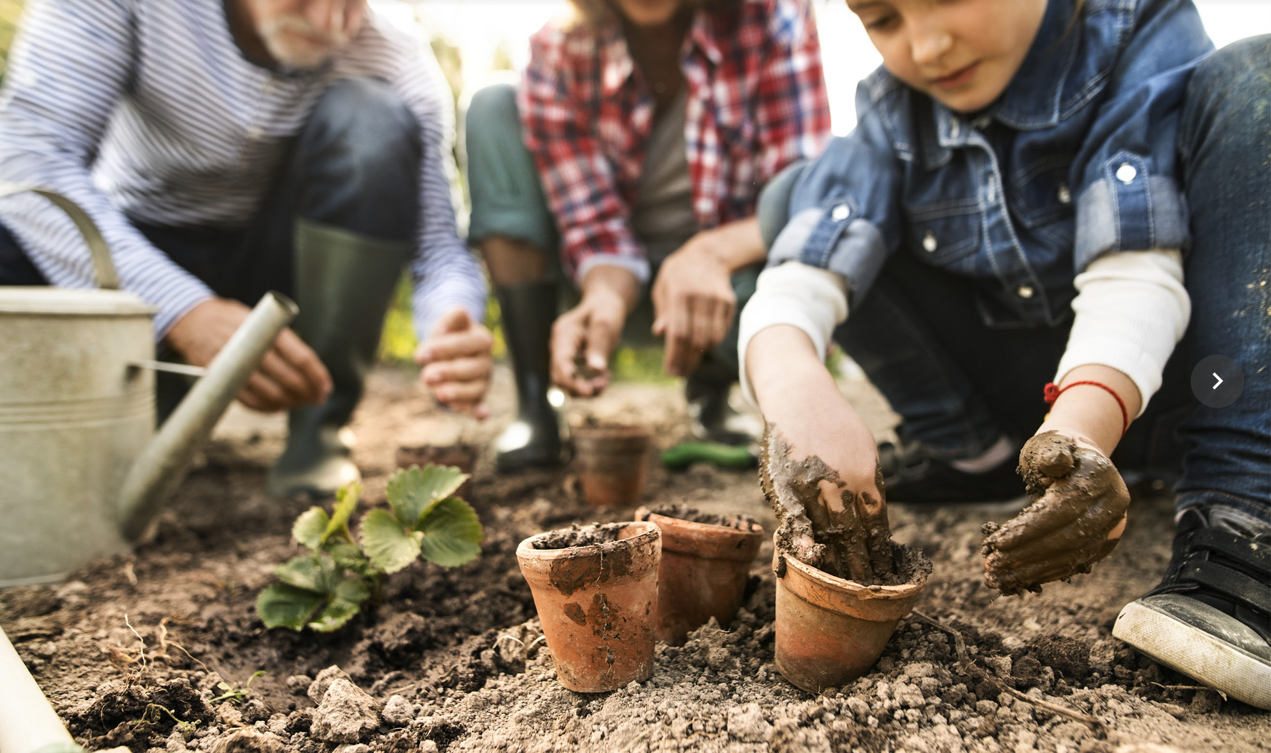 April Gardening To-Do List