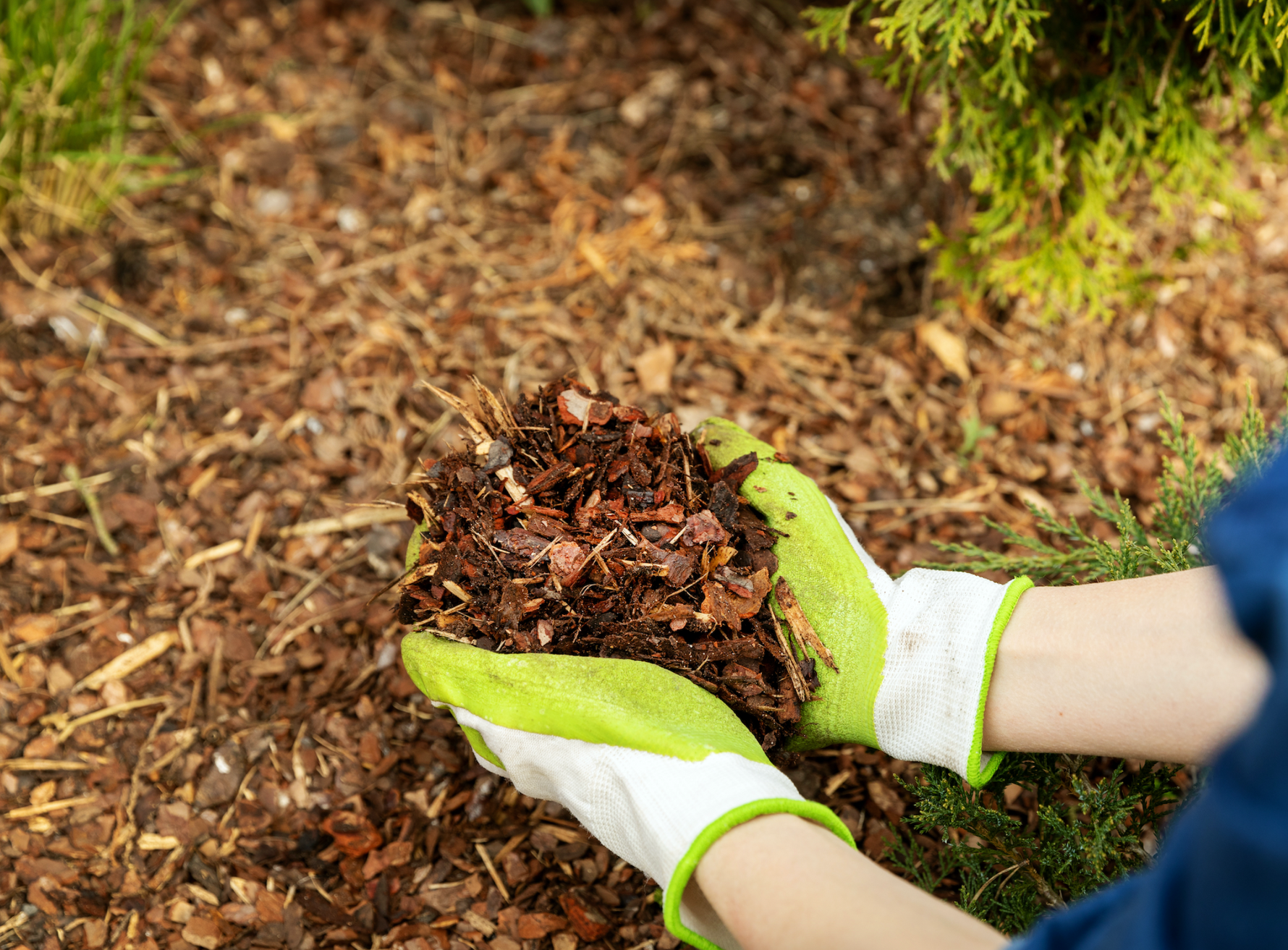 Mulch Madness