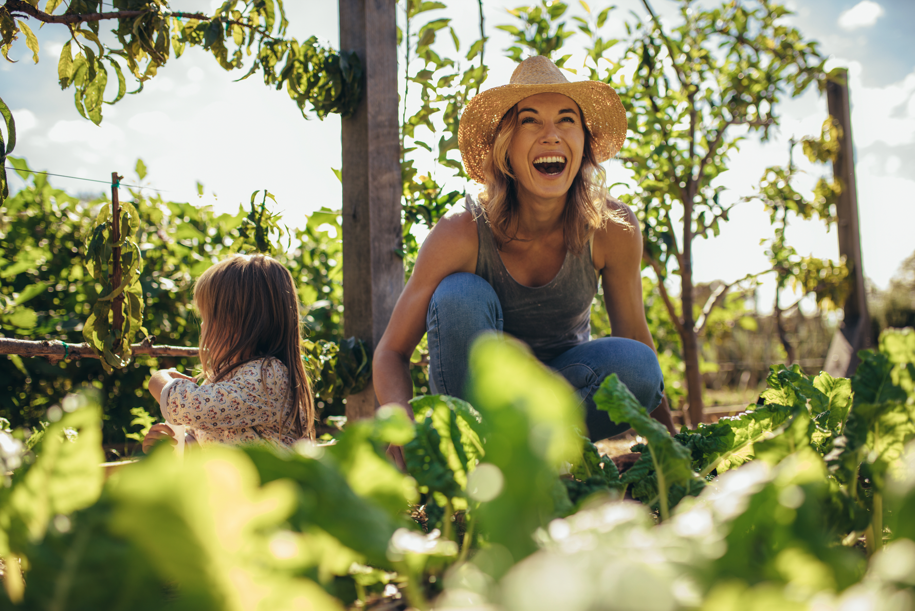 August Gardening To-Do List