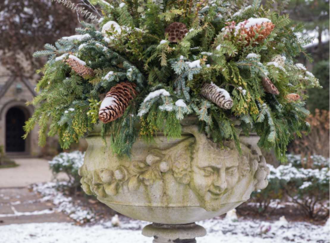 Chalet Signature Winter Container Trends