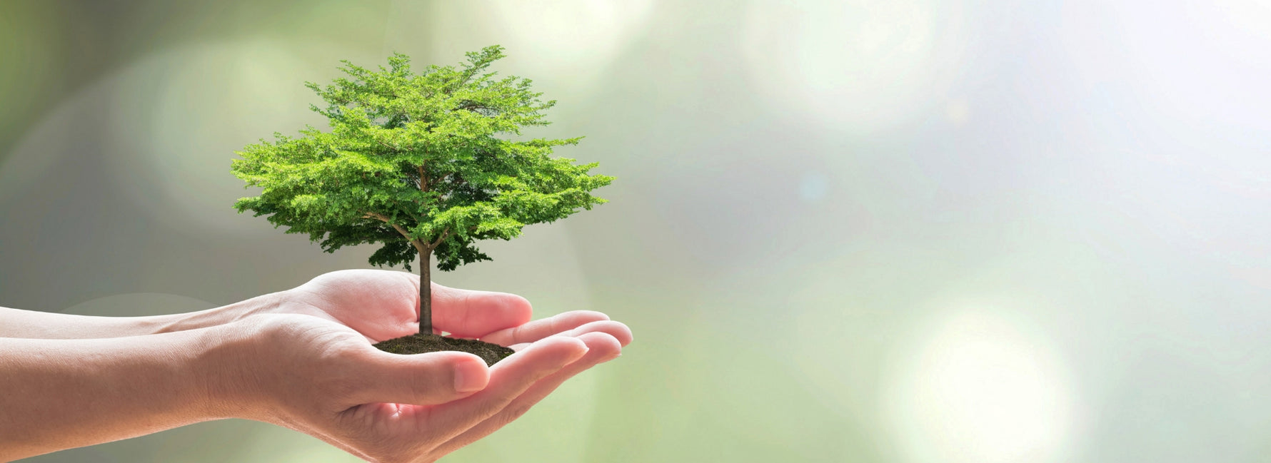 Arbor Day - Plant a Friend!