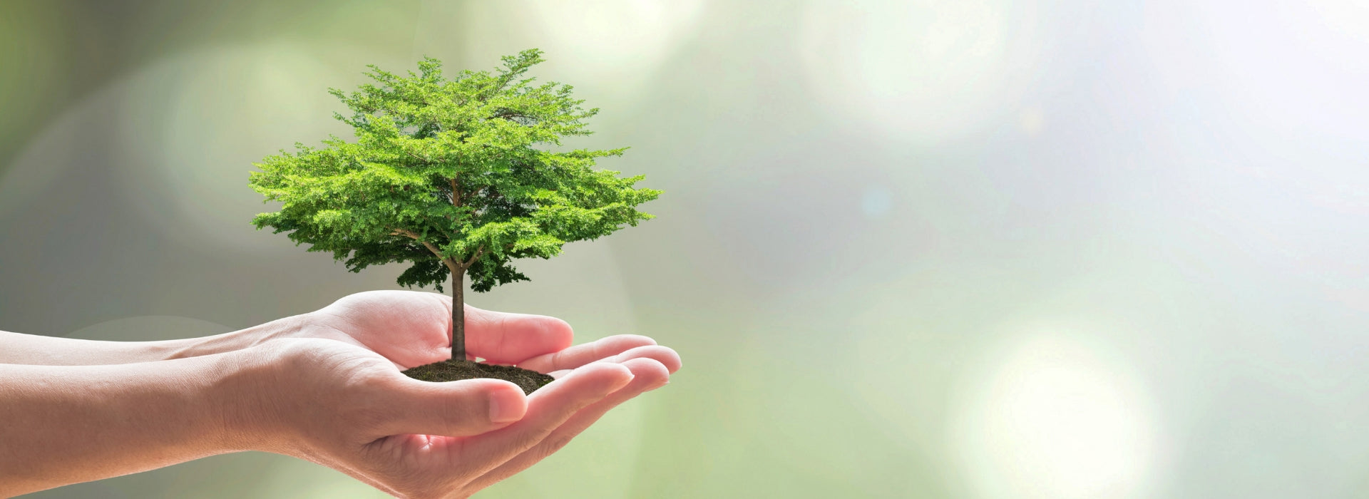 Arbor Day - Plant a Friend!