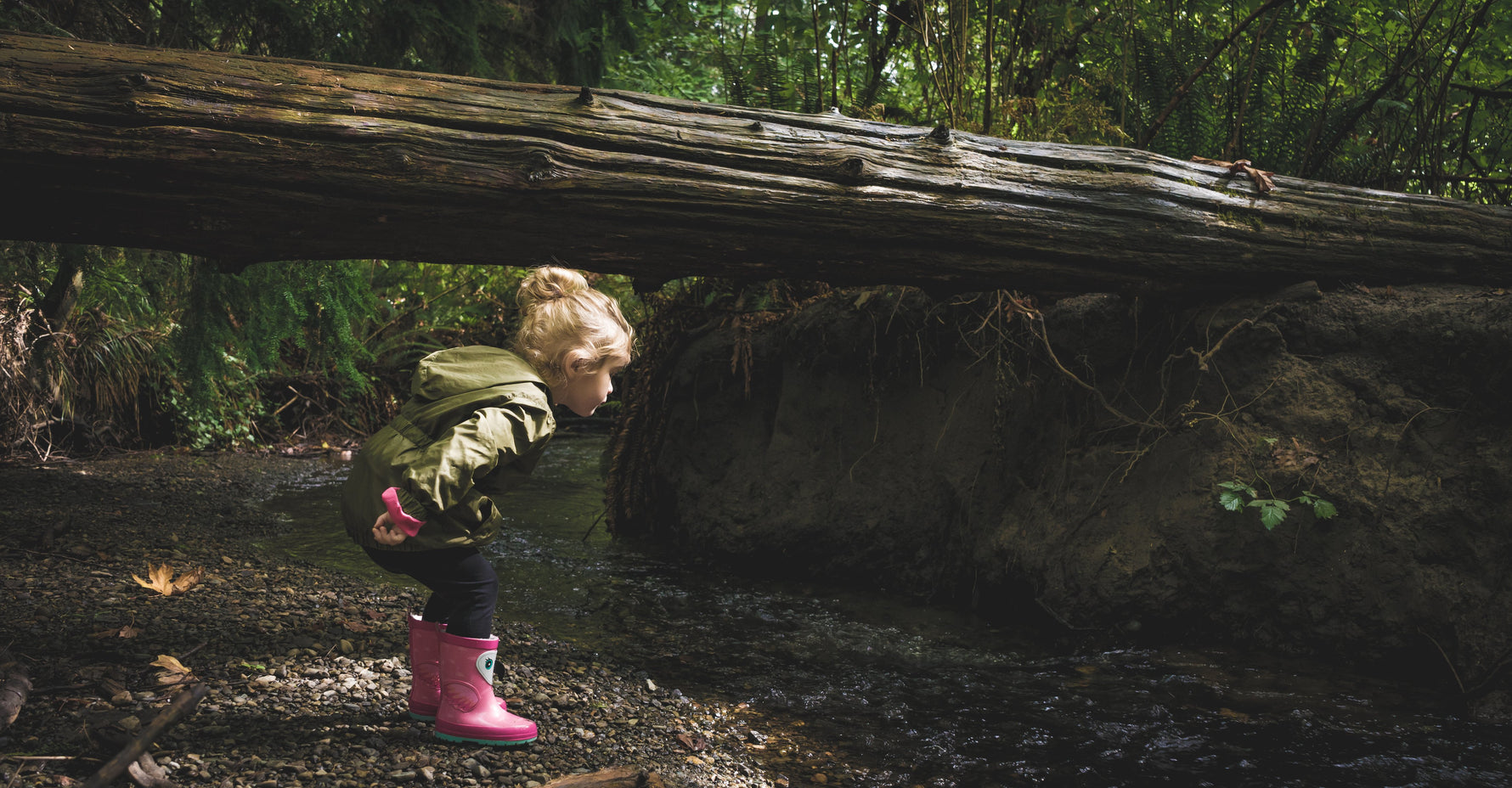 Nature and the Beginner's Mind