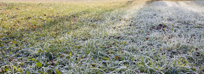 What’s all this Fuss about Frost?
