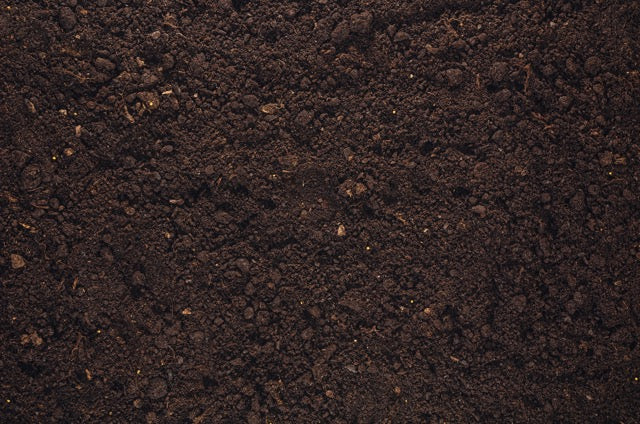 soil