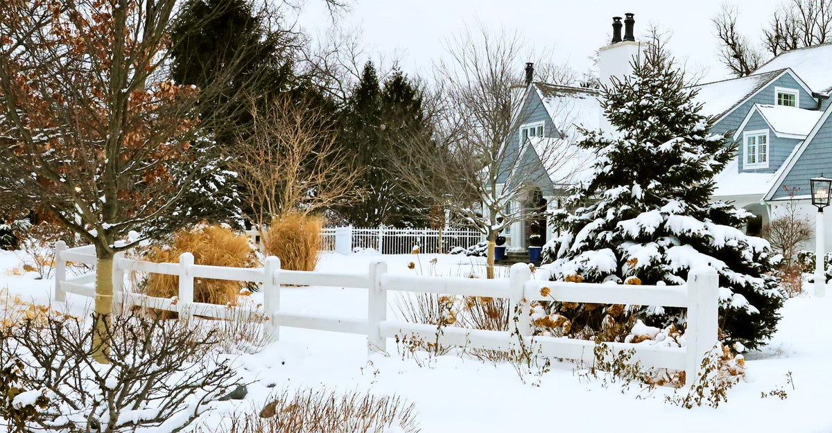 a north shore winter landscape with seasonal interest