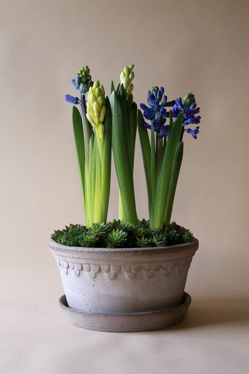 Indoor Planters