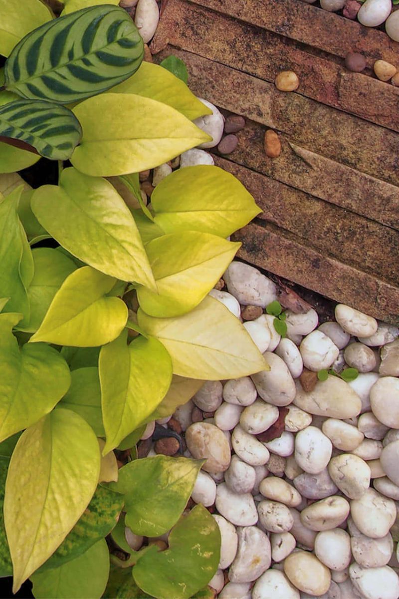 Garden Stones + Pebbles