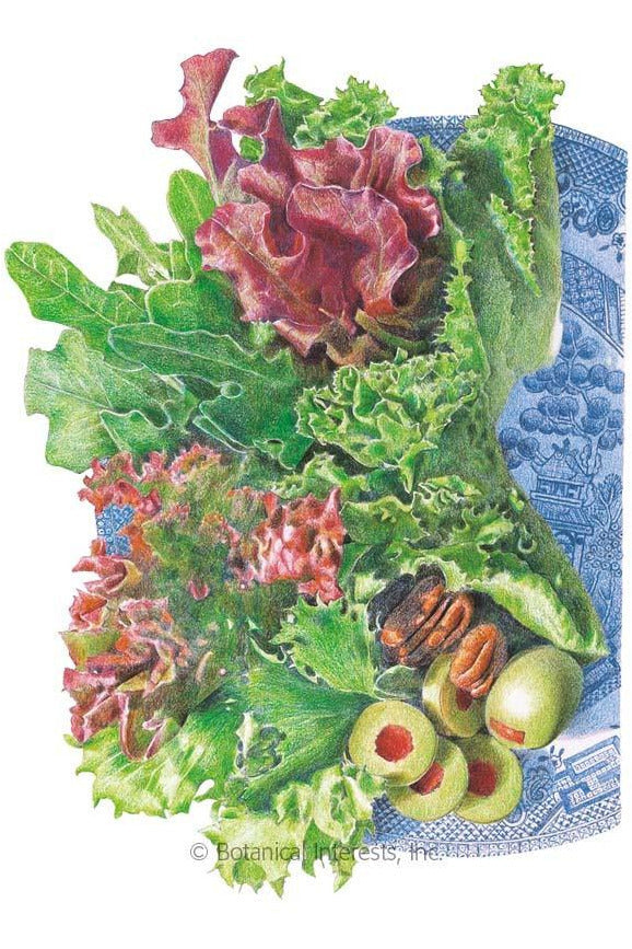 Botanical Interests Farmer's Market Blend Mesclun Lettuce Seeds