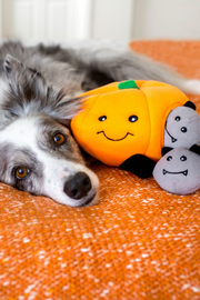 ZIPPY PAWS BURROW PUMPKIN