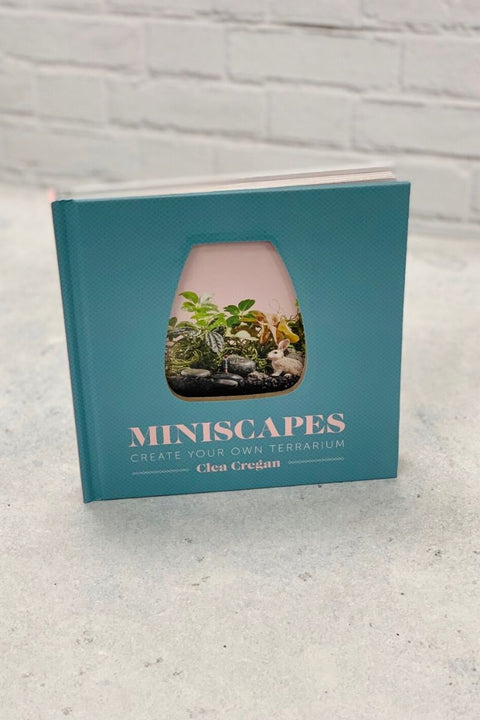 Miniscapes: Create Your Own Terrarium